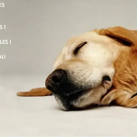 Daire Confort ! Calme, Climatisation, Parking Gratuit, Grande Terrasse, Ascenseur, Wifi Carcassonne