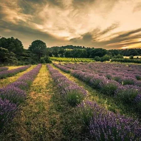 Confort ! Calme, Climatisation, Parking Gratuit, Grande Terrasse, Ascenseur, Wifi