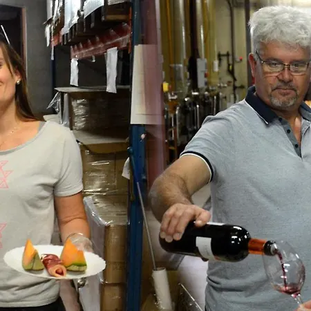 Confort ! Calme, Climatisation, Parking Gratuit, Grande Terrasse, Ascenseur, Wifi Carcassonne