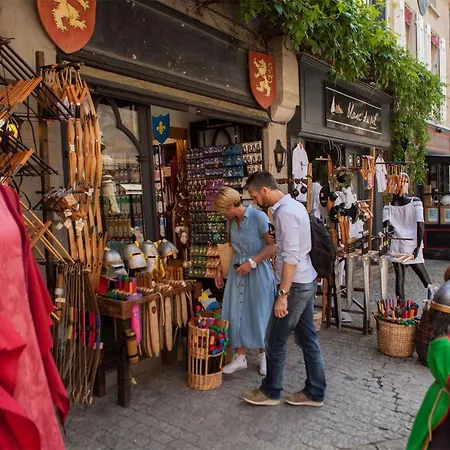 Confort ! Calme, Climatisation, Parking Gratuit, Grande Terrasse, Ascenseur, Wifi Carcassonne