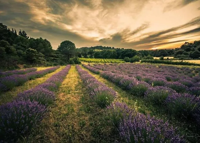 Confort ! Calme, Climatisation, Parking Gratuit, Grande Terrasse, Ascenseur, Wifi