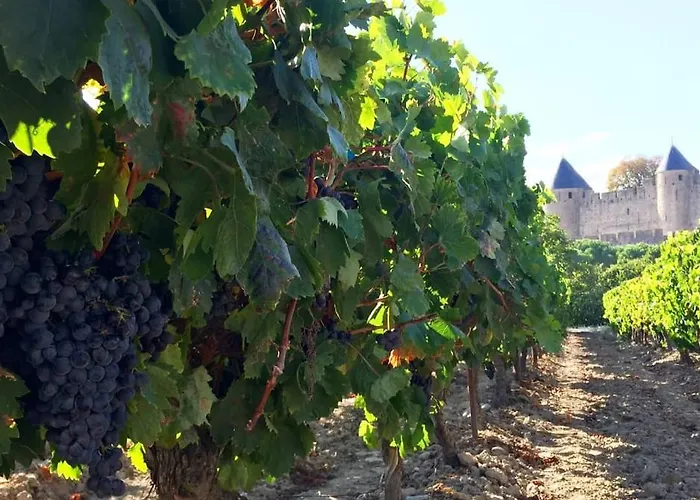 Apartment Confort ! Calme, Climatisation, Parking Gratuit, Grande Terrasse, Ascenseur, Wifi *