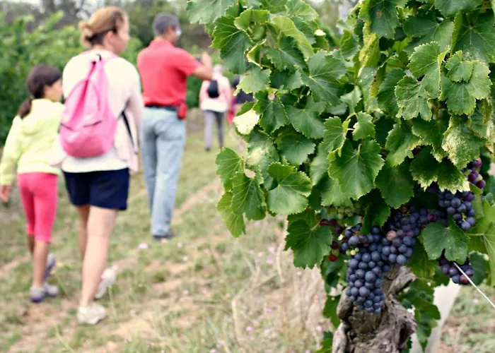 Confort ! Calme, Climatisation, Parking Gratuit, Grande Terrasse, Ascenseur, Wifi Apartment